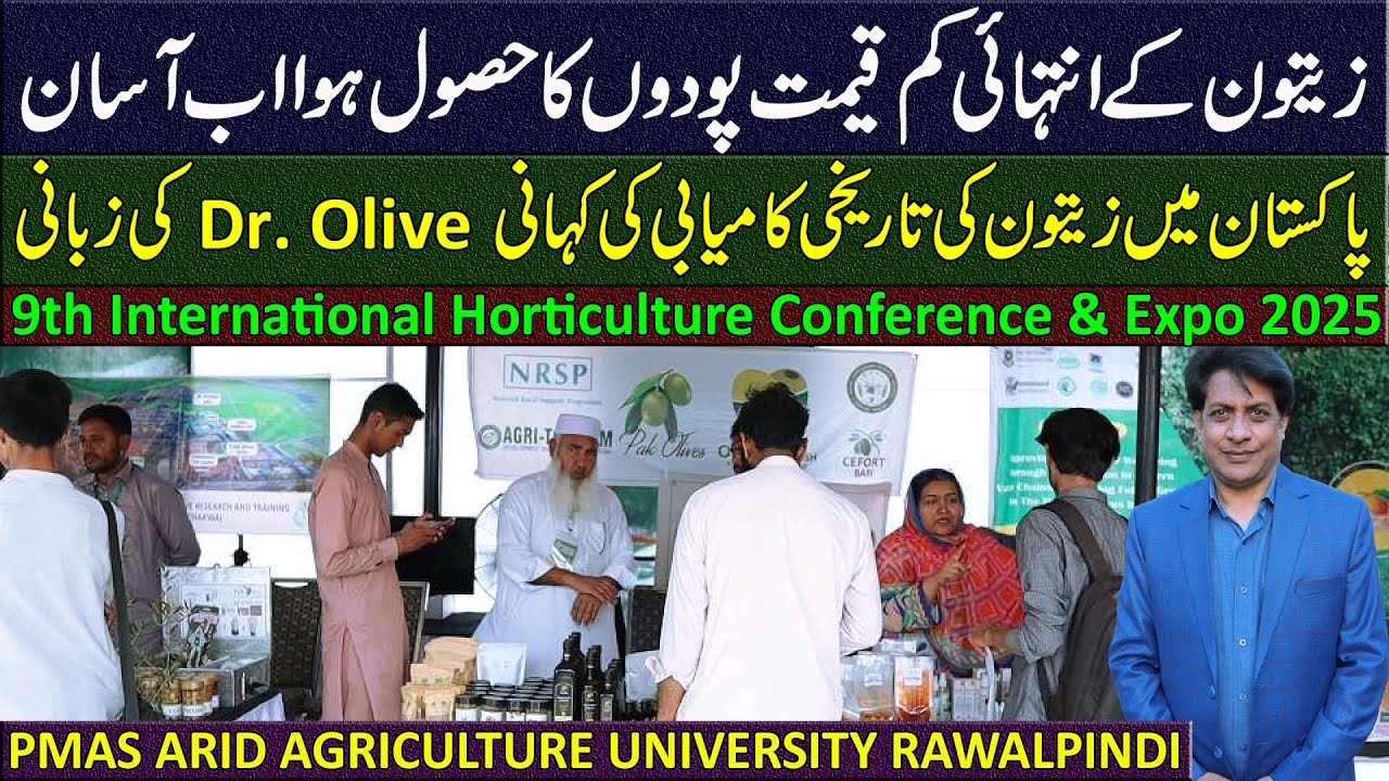 Olive Revolution in Pakistan | Success Story telling by Dr. Olive of CEFORT Chakwal | Expo 2025