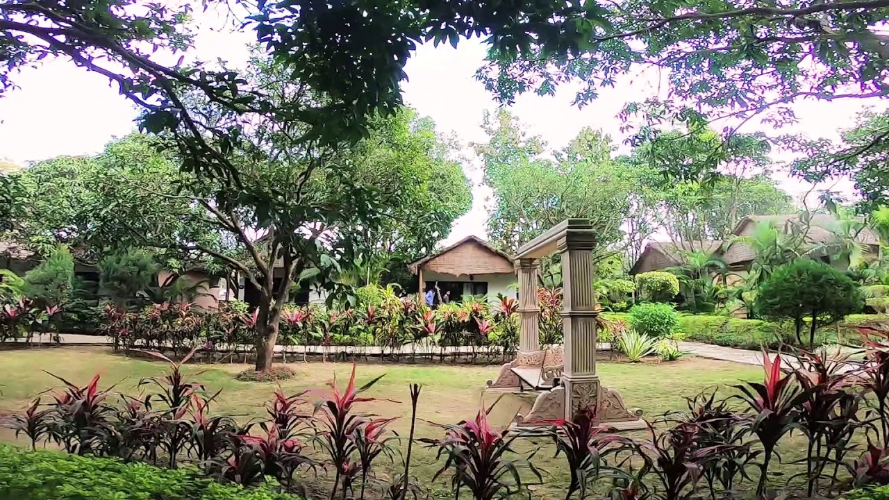 Iris resort - Jim Corbett national park