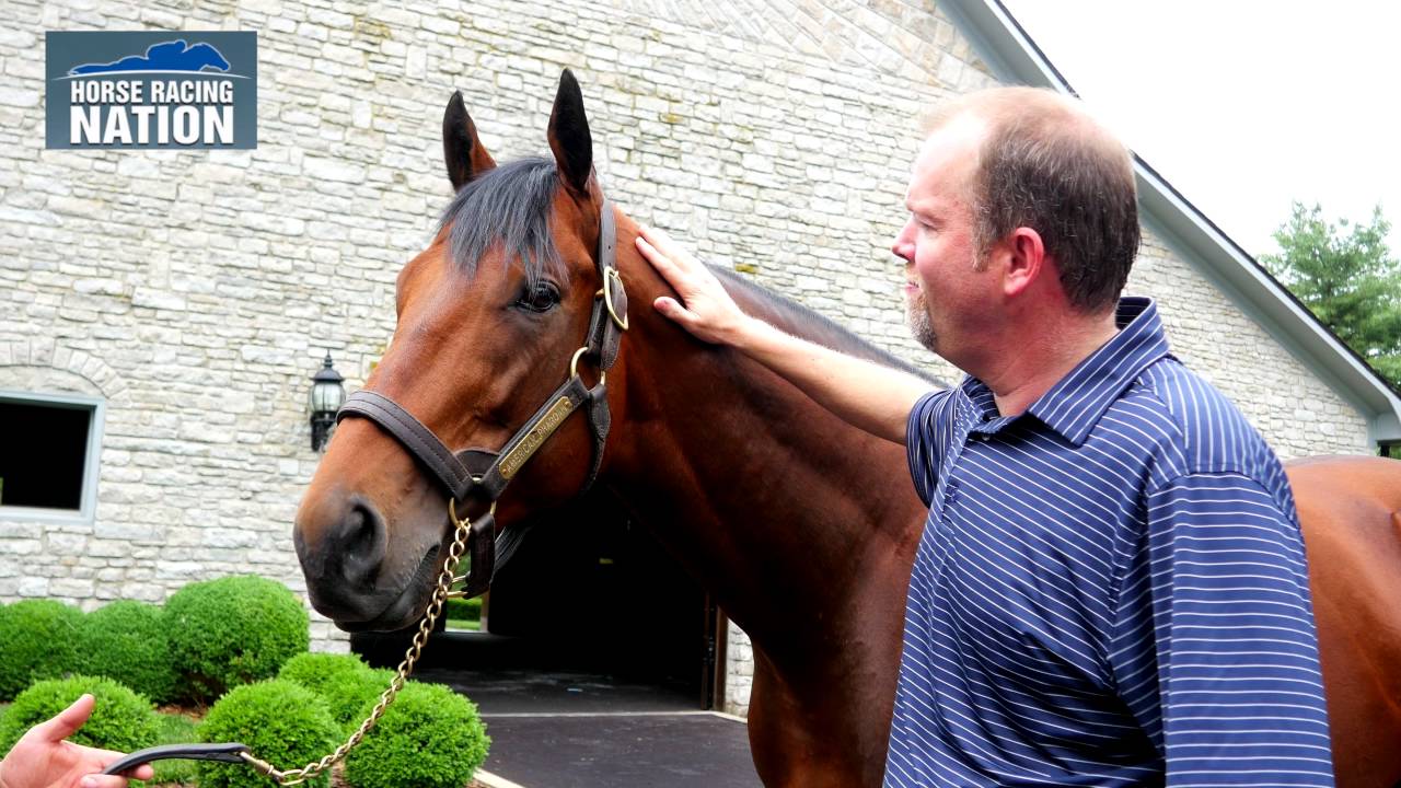 American Pharoah at Coolmore: One Year after Triple Crown Glory