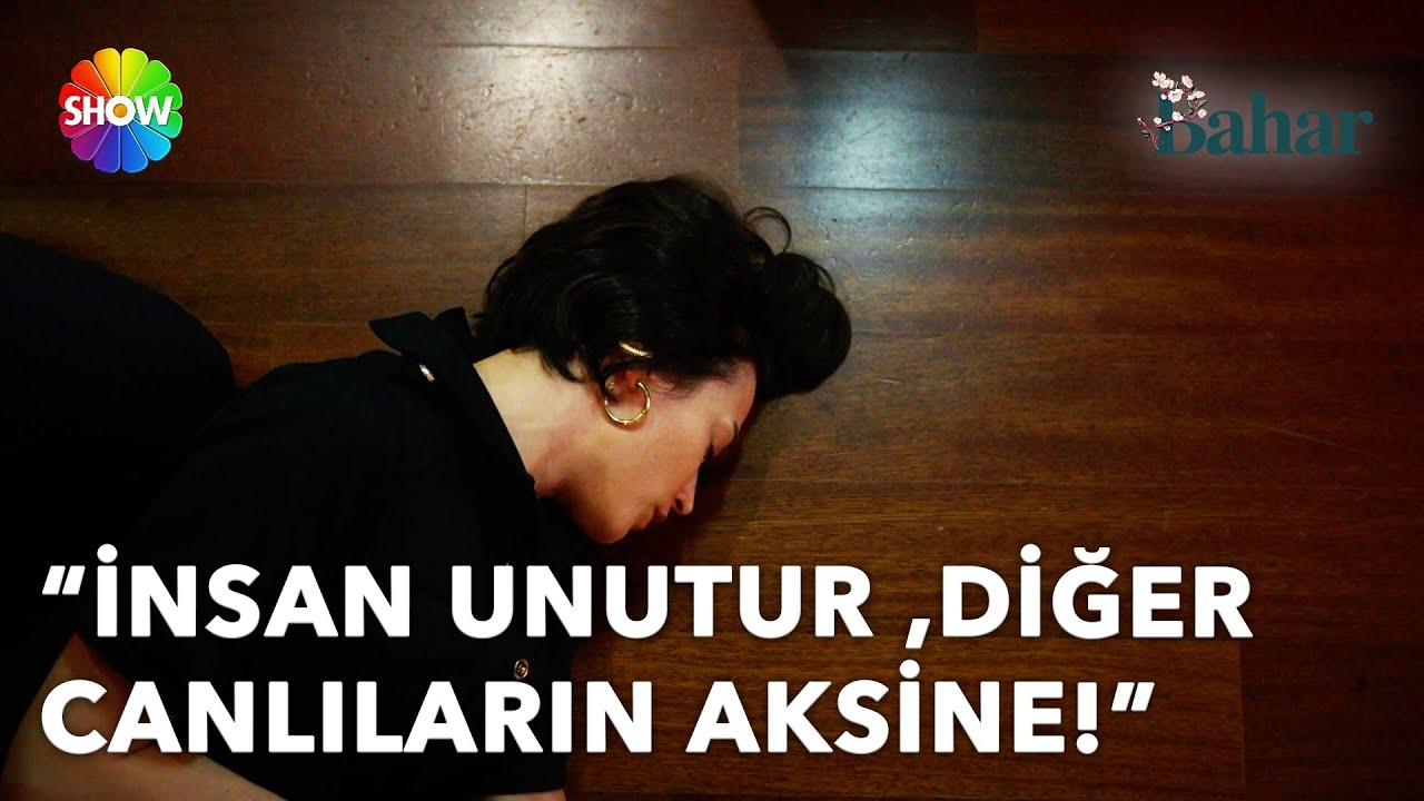 Rengin, sürpriz yemekte bayıldı! | Bahar 60. Bölüm