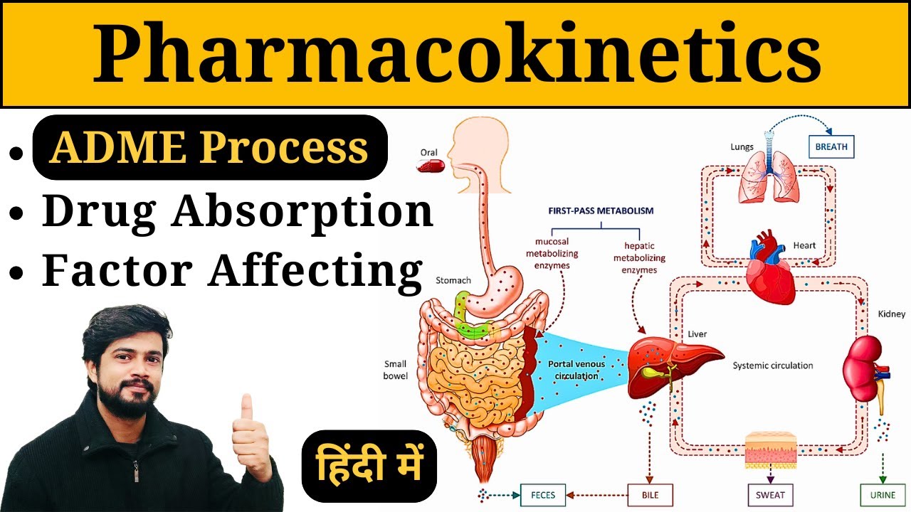 Pharmacokinetics in Hindi || ADME Process || Drug Absorption || Factor Affecting || Pharmacology
