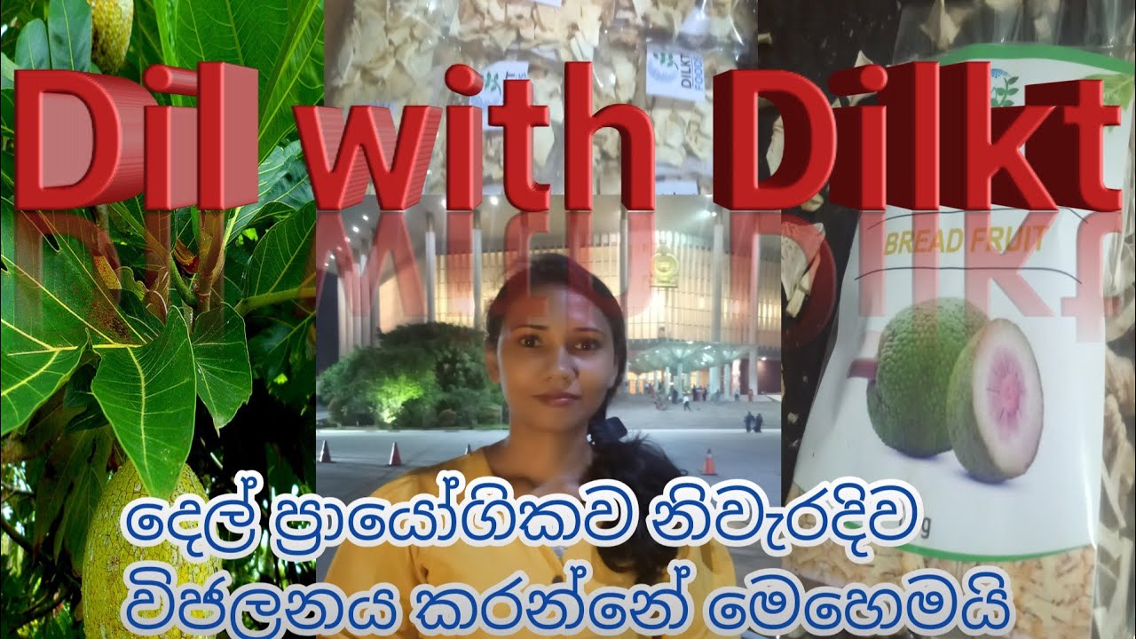How to dehydrate Breadfruit properly. (දෙල් නිවැරදිව විජලනය කරන්නෙ මෙහෙමයි.)