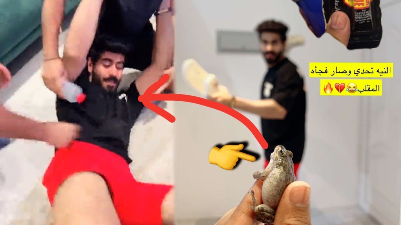 مزحة مع الضفدع🤣🤣🤣 يوميات سعید الحربي