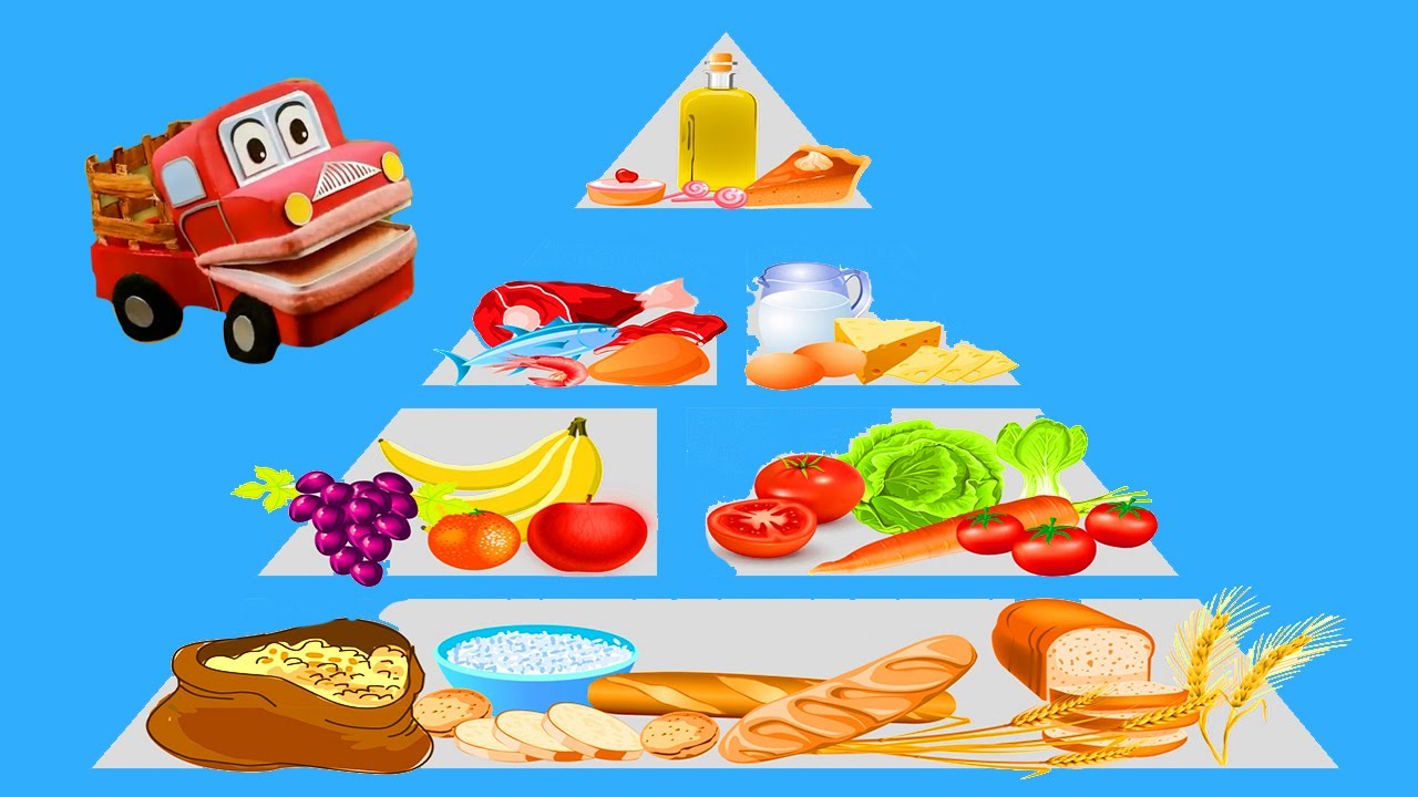 La Alimentación Balanceada. Video educativo para niños. Baney El Camión.