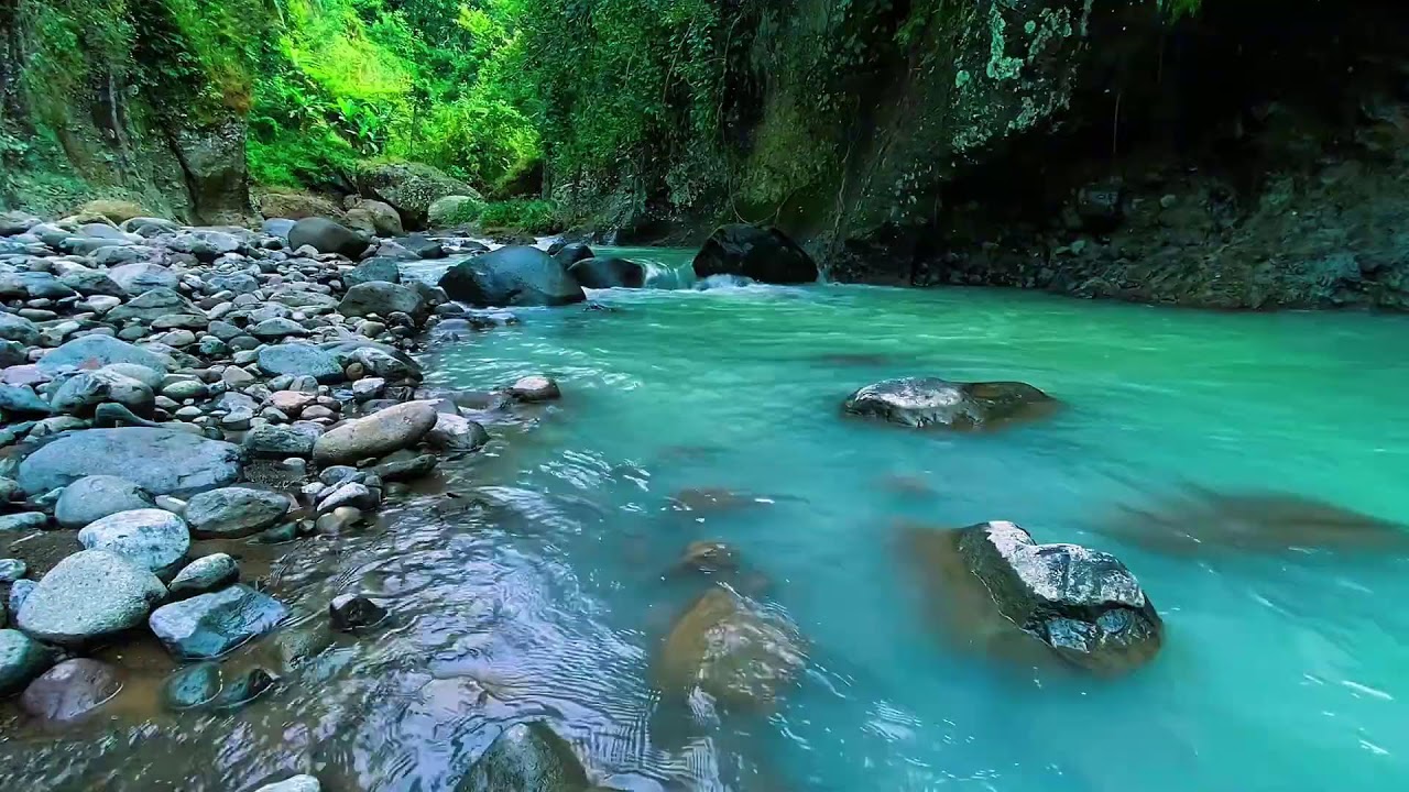 Mountain Stream Calm Night Flow, Forest River Sounds, Sleeping
