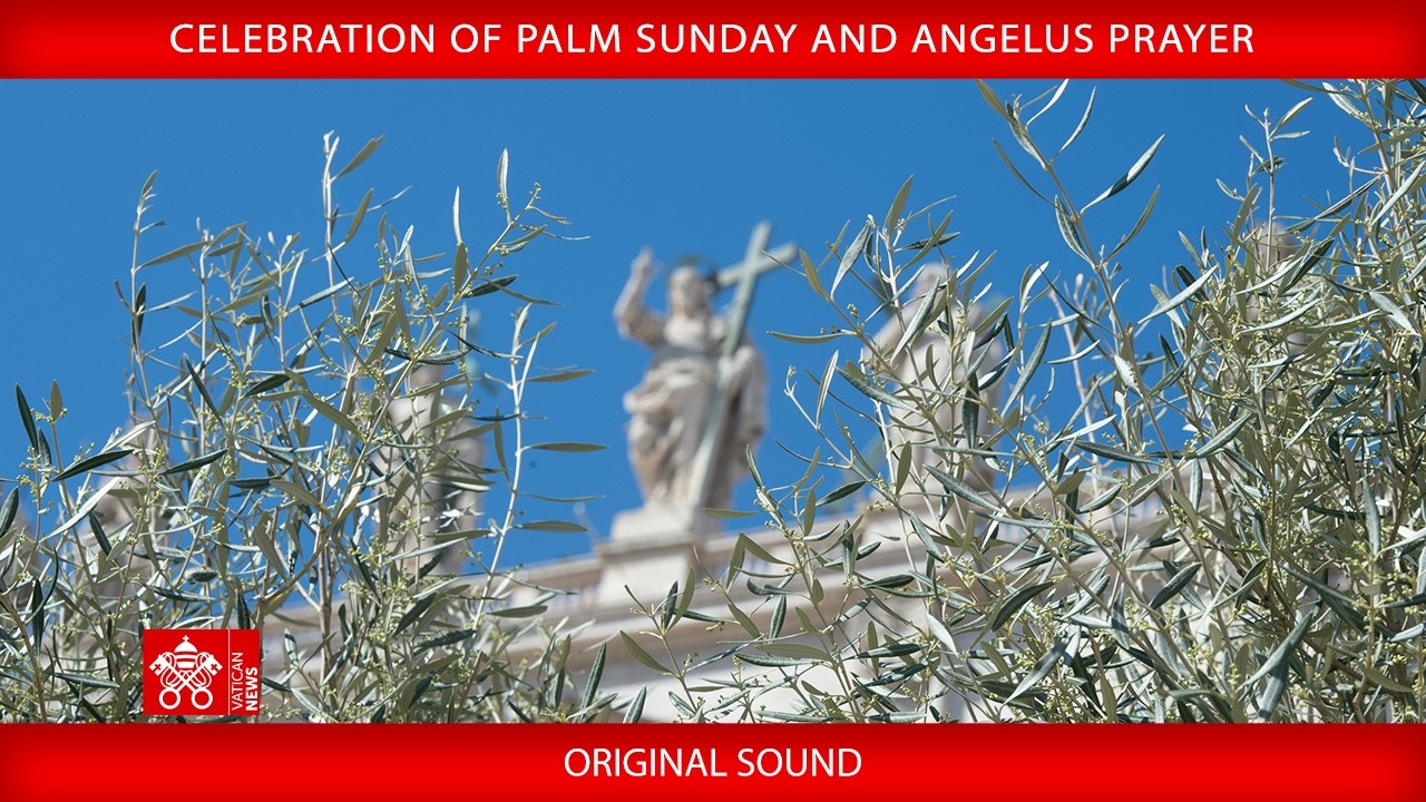 29 March 2026 Celebration of Palm Sunday, Angelus prayer -  Pope Leo XIV