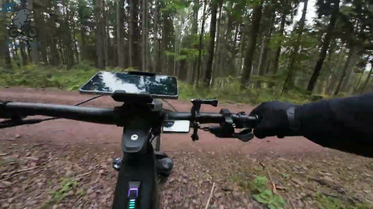 Bad Tabarz im Thüringer Wald 12