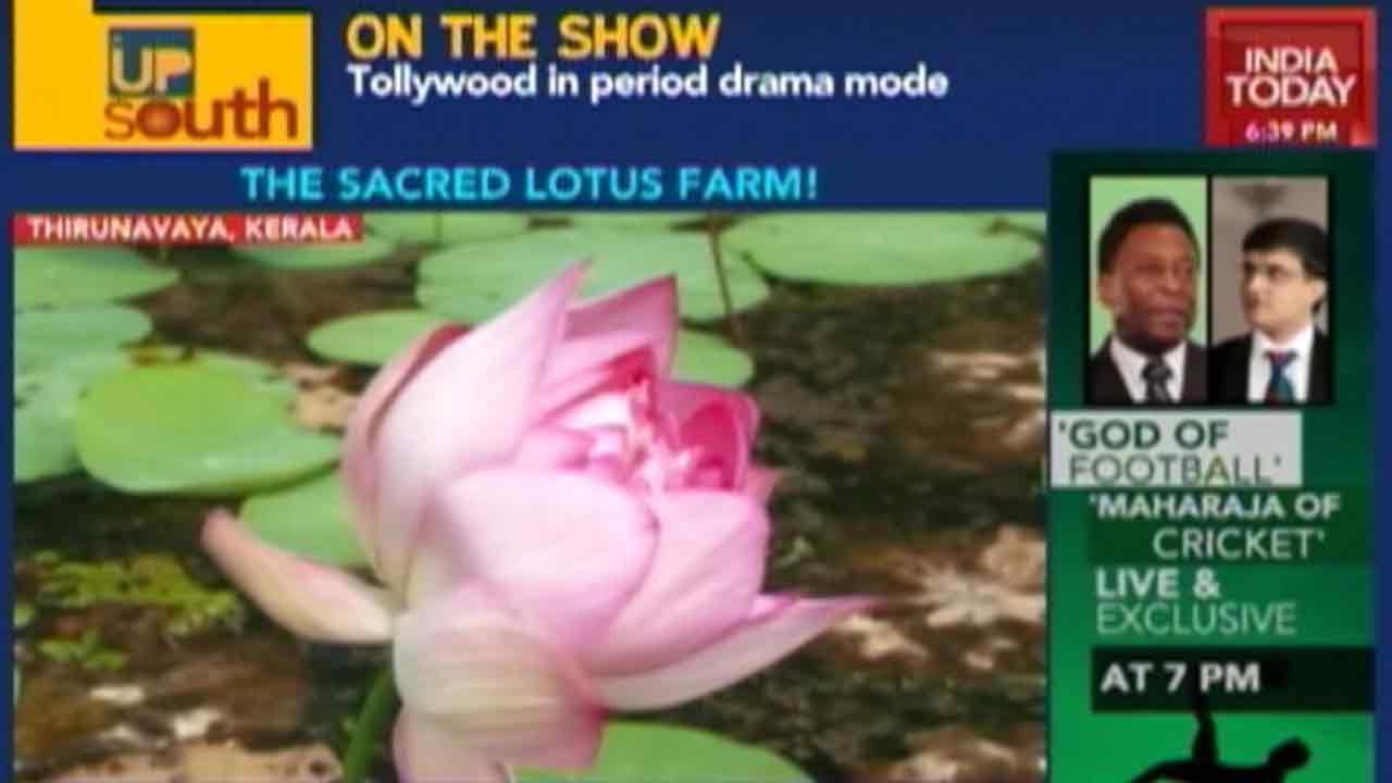 Up South: Lotus Farm Promotes Communal Harmony In Kerala