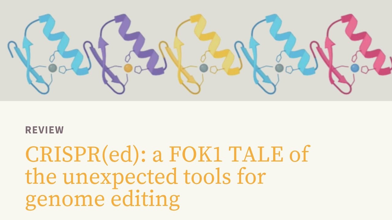 📰 Unveiling Genome Editing: Evolution from Zinc Finger Nucleases to CRISPR-Cas9