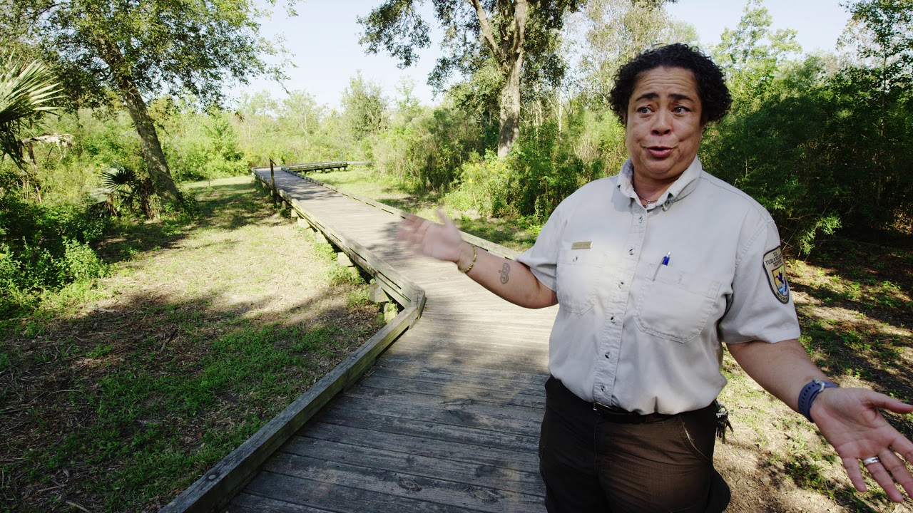 Bayou Sauvage Refuge: In Concert With Nature