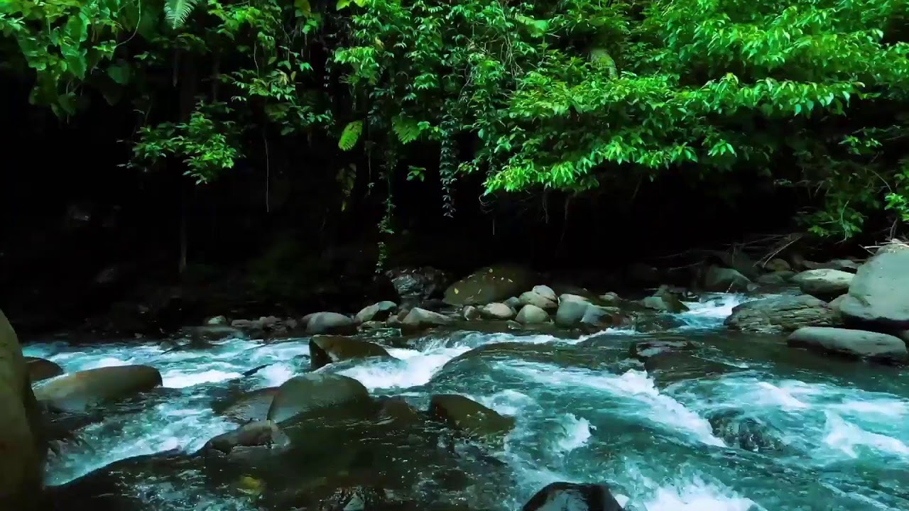 Dark Jungle River Flow &ndash; Deep Sleep Nature Sound with Rushing Water Sound