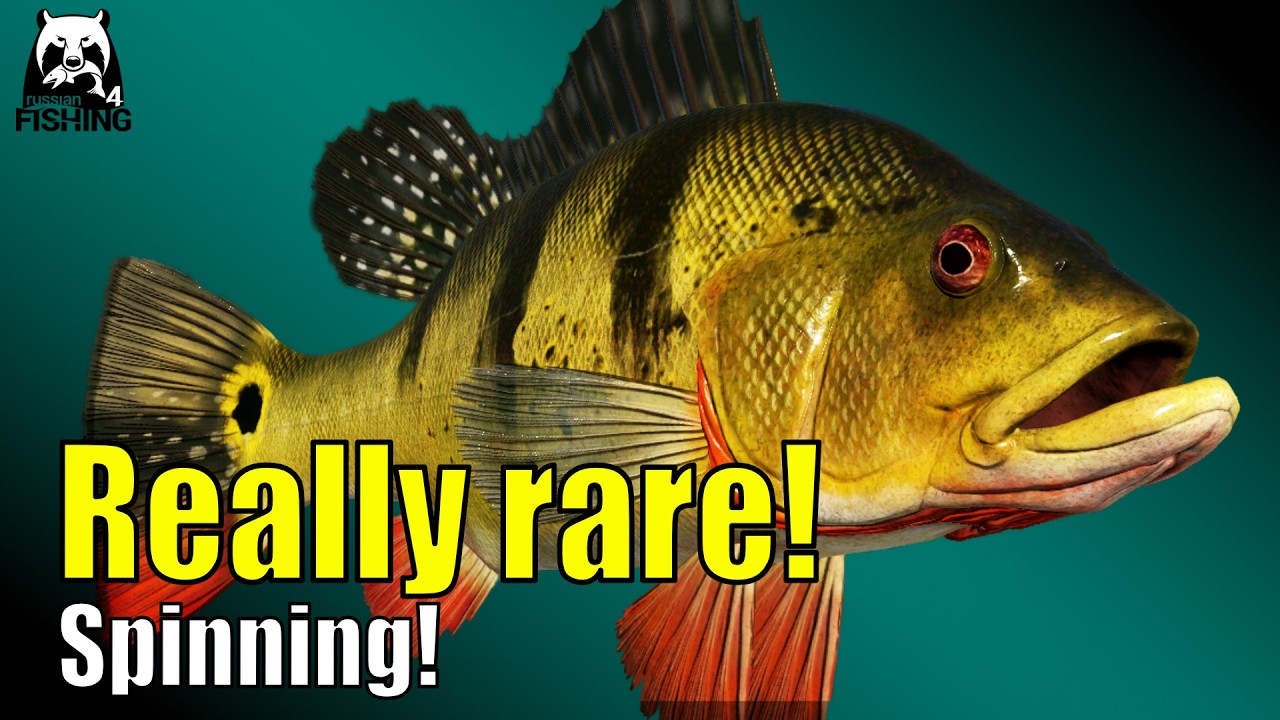 Really rare! Butterfly Peacock bass! - Russian Fishing 4 - Elk Lake #rf4 Spinning
