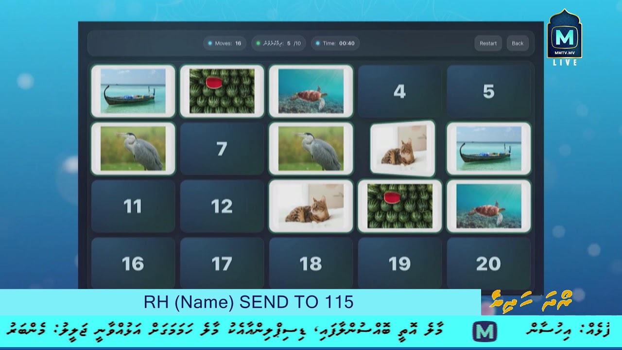 Roadha Hadhiya