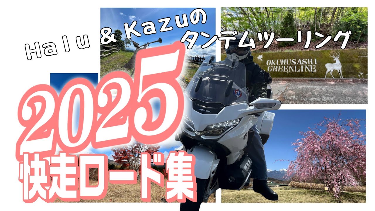 2025年に走ったおすすめの道７選！南アルプスと桃の花を一度に楽しめる道や、ローカル線と並走できる道などを紹介します。