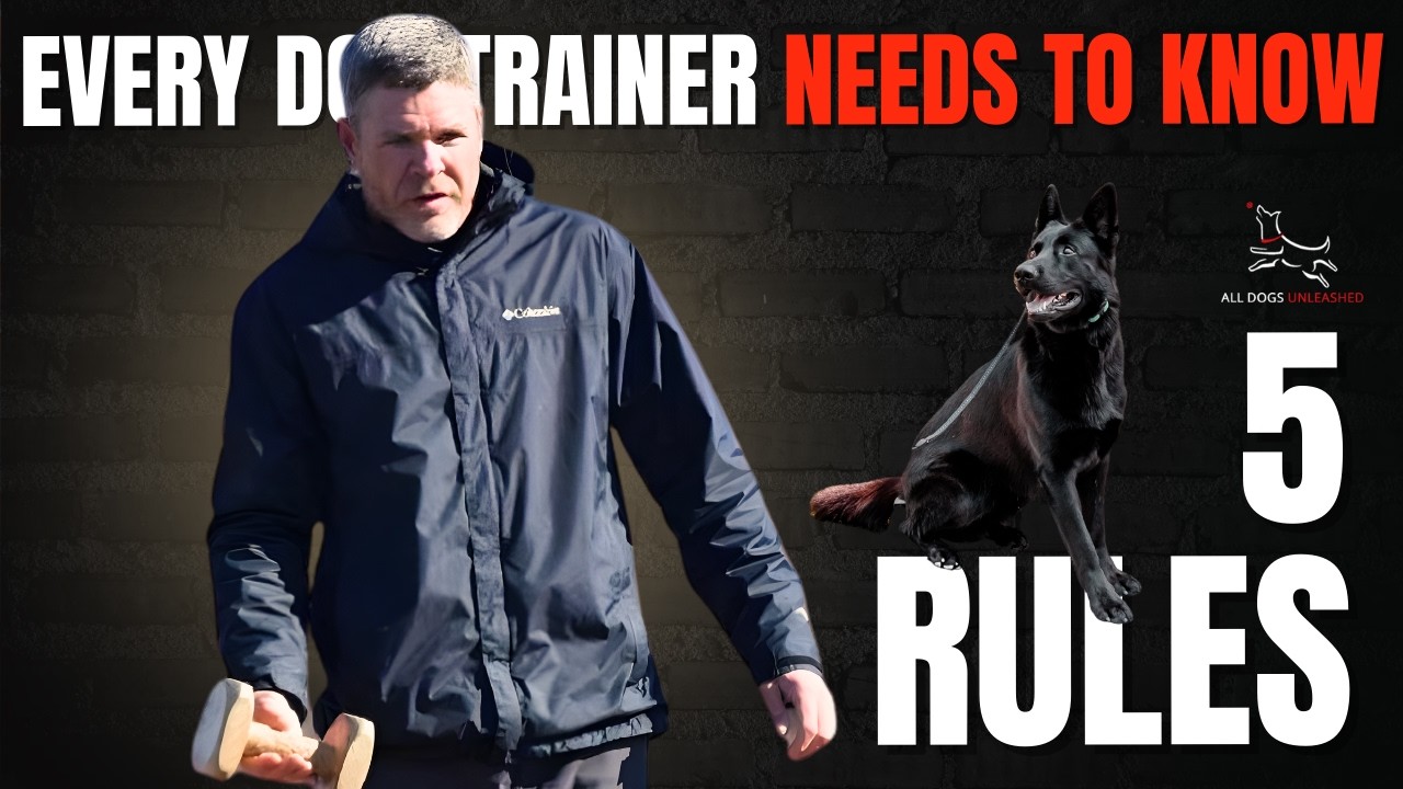 Most Trainers Do This Wrong (Here’s What Actually Works)