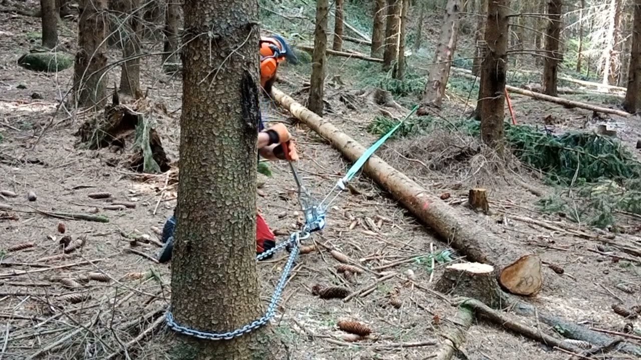Lesní trápení 2 hupcuk