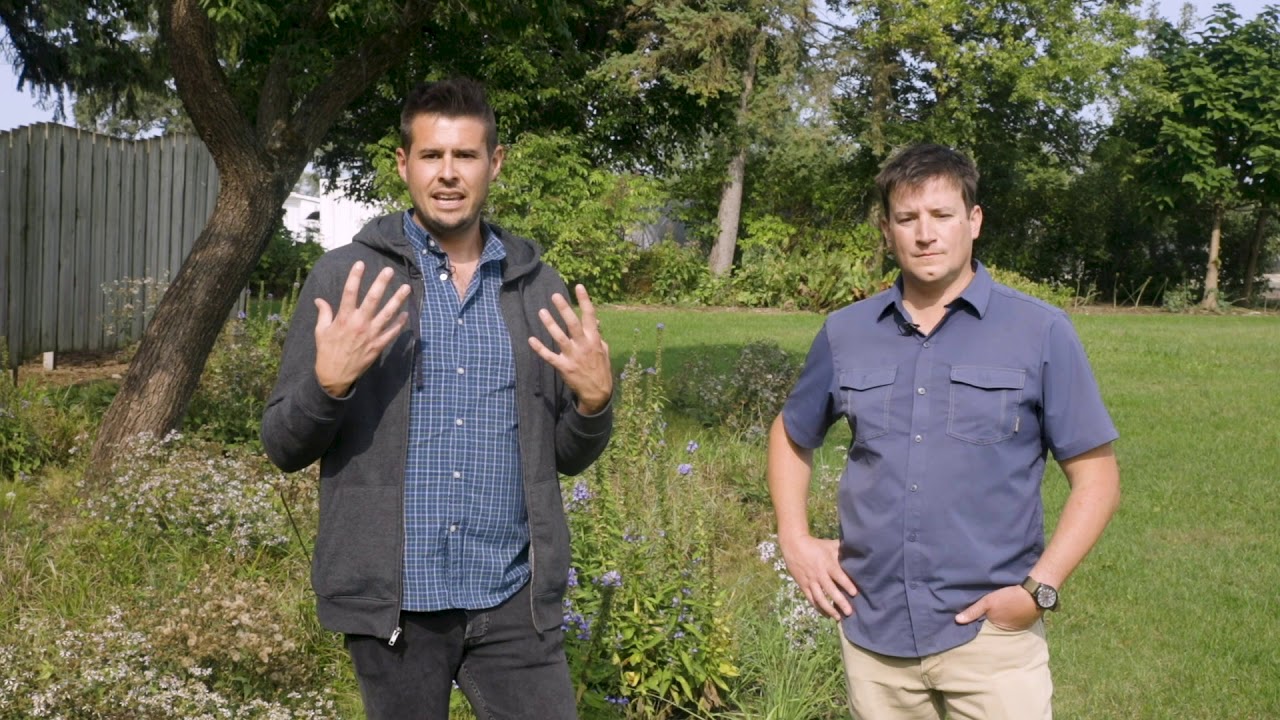 The Design and Intent of the Midwest Native Gardens