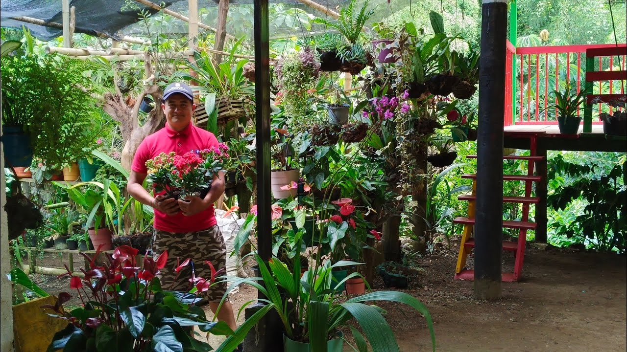 Te invito a recorrer mi jardín, nuevas plantas y floración .