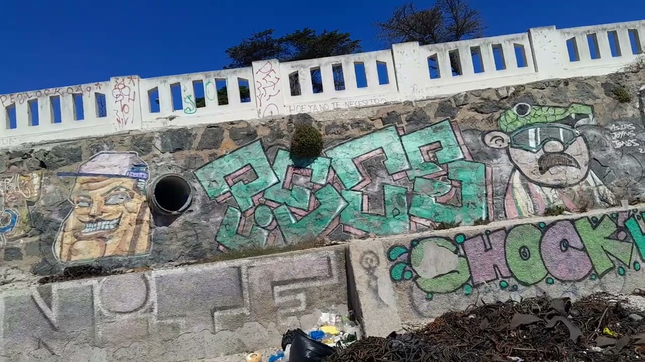 Que playa conocer y estudiar en Valparaiso: CARVALLO en avenida Altamirano, Playa Ancha, Chile, 2026