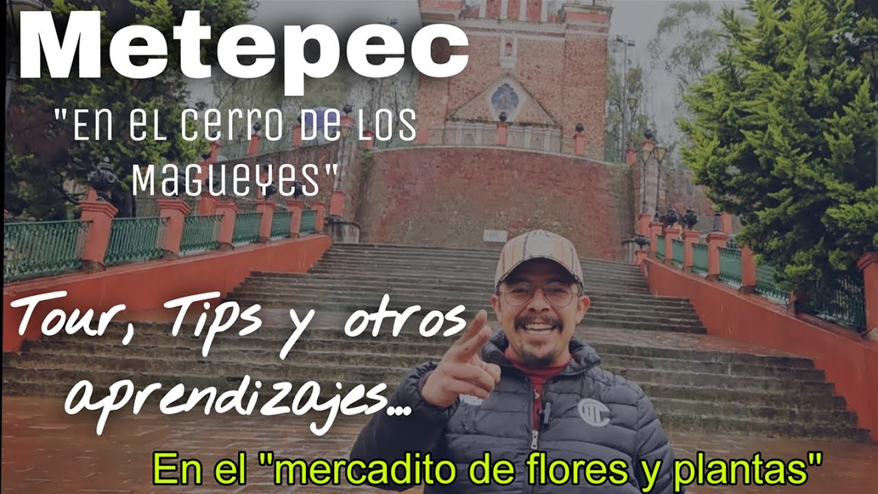 EXPO-TOUR Mercadito de flores y plantas 