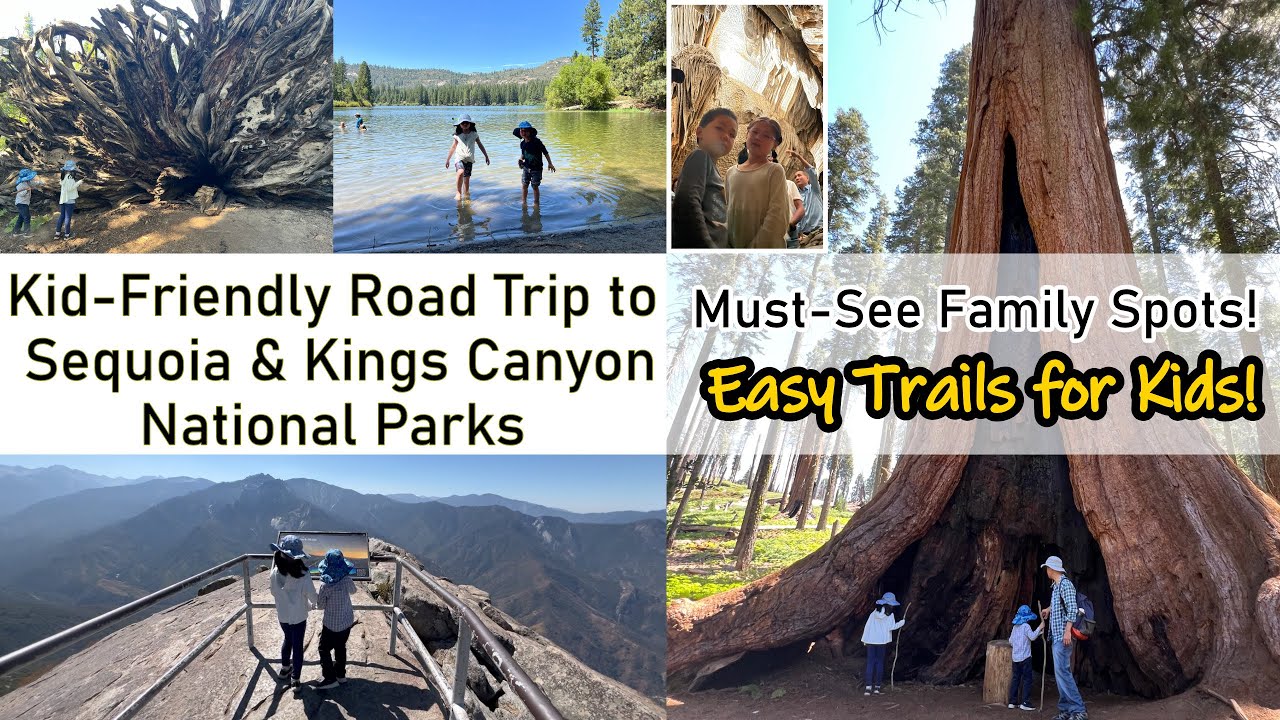 3-Day Road Trip to Kings Canyon & Sequoia National Parks, Kid-Friendly Itinerary with Must-See Spots