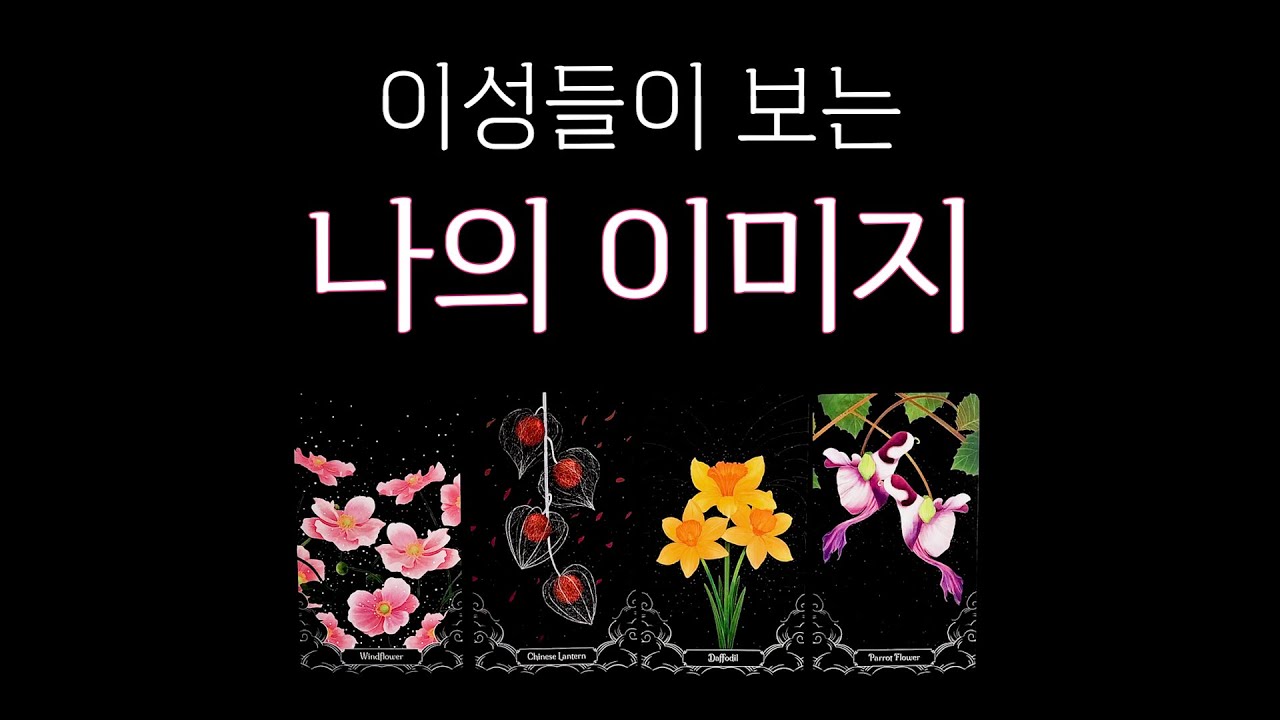 [타로] 이성들이 보는 나의 이미지✨️지금 나를 좋아하는 사람