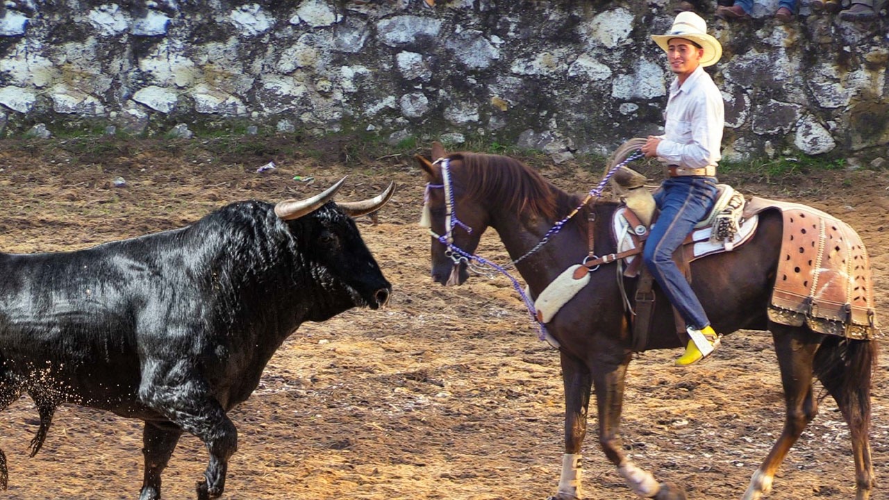 TOROS BRAVOS BUSCA CABALLOS JARIPEO LLENO DE EMOCIONES!! ZINAPECUARO MICHOACAN 2025 COMANCHE -PAJARO