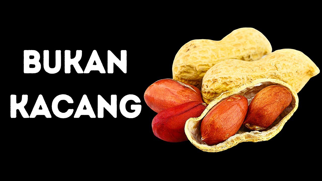 Kalau Kamu Tahu 5 dari Fakta-fakta Ini, Pasti Kamu Enak Diajak Bicara