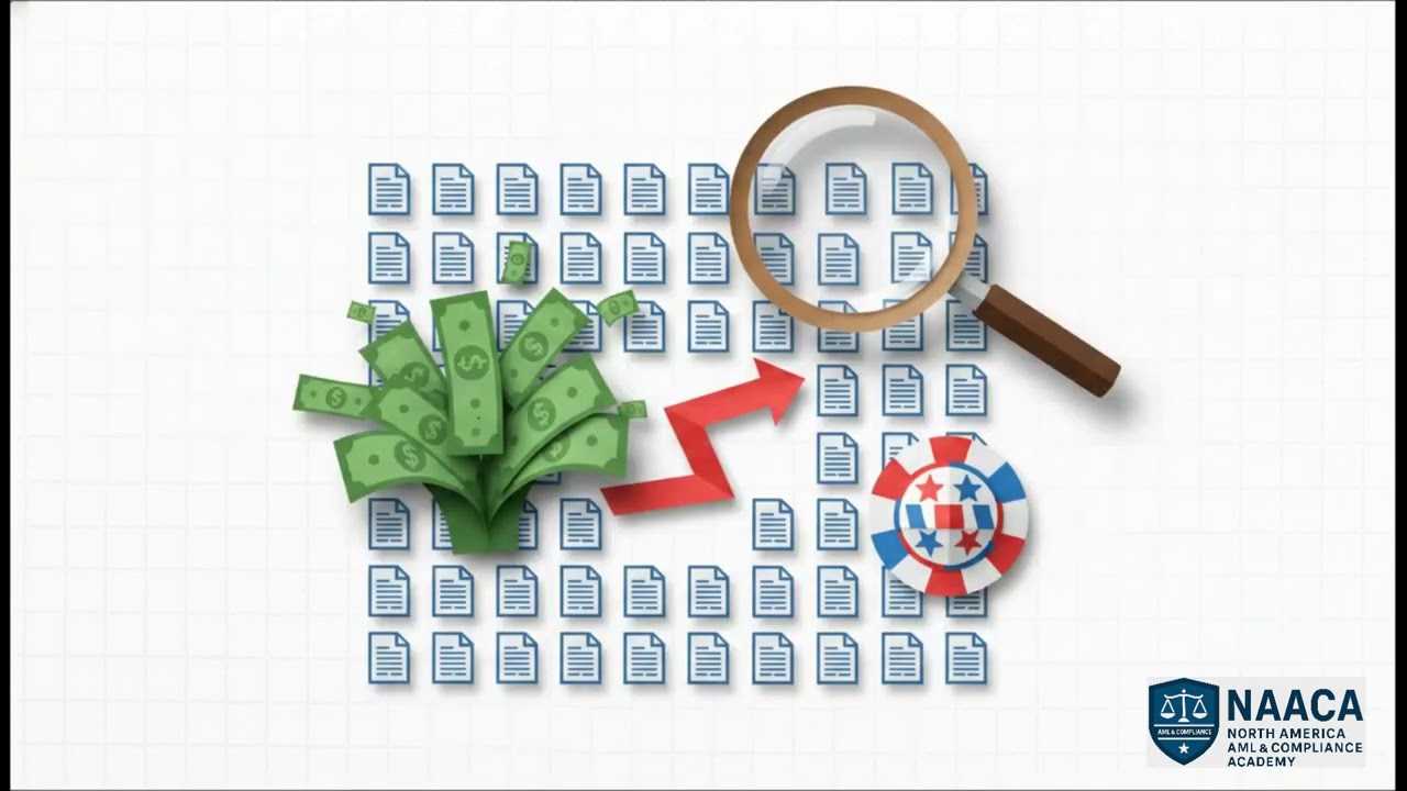 OFAC vs Cartel Money Laundering: Cash Smuggling, Casinos & Narco-Finance Networks