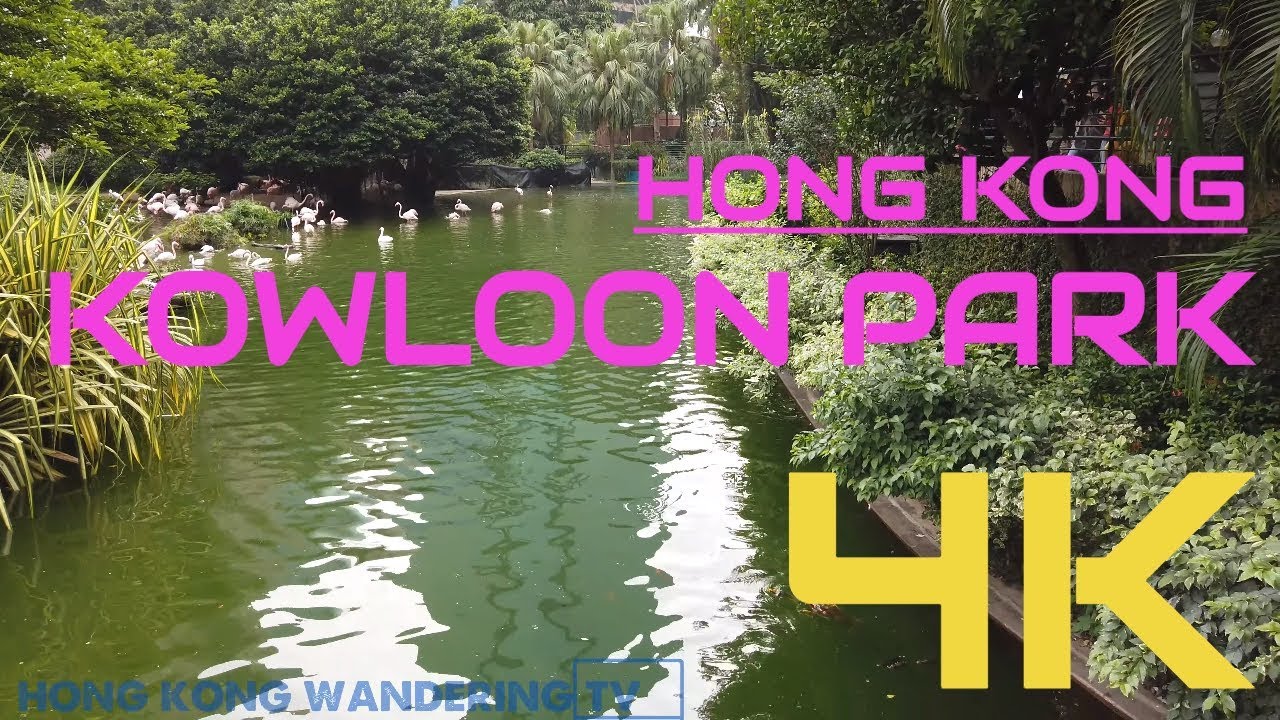 ULTRA HD 4K KOWLOON PARK IN HONG KONG | 九龍公園