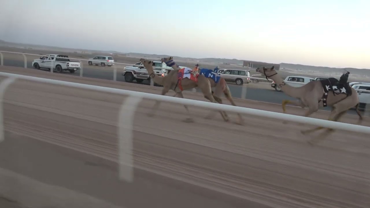 ١- سحله لـ صالح عطالله الضيوفي العطوي