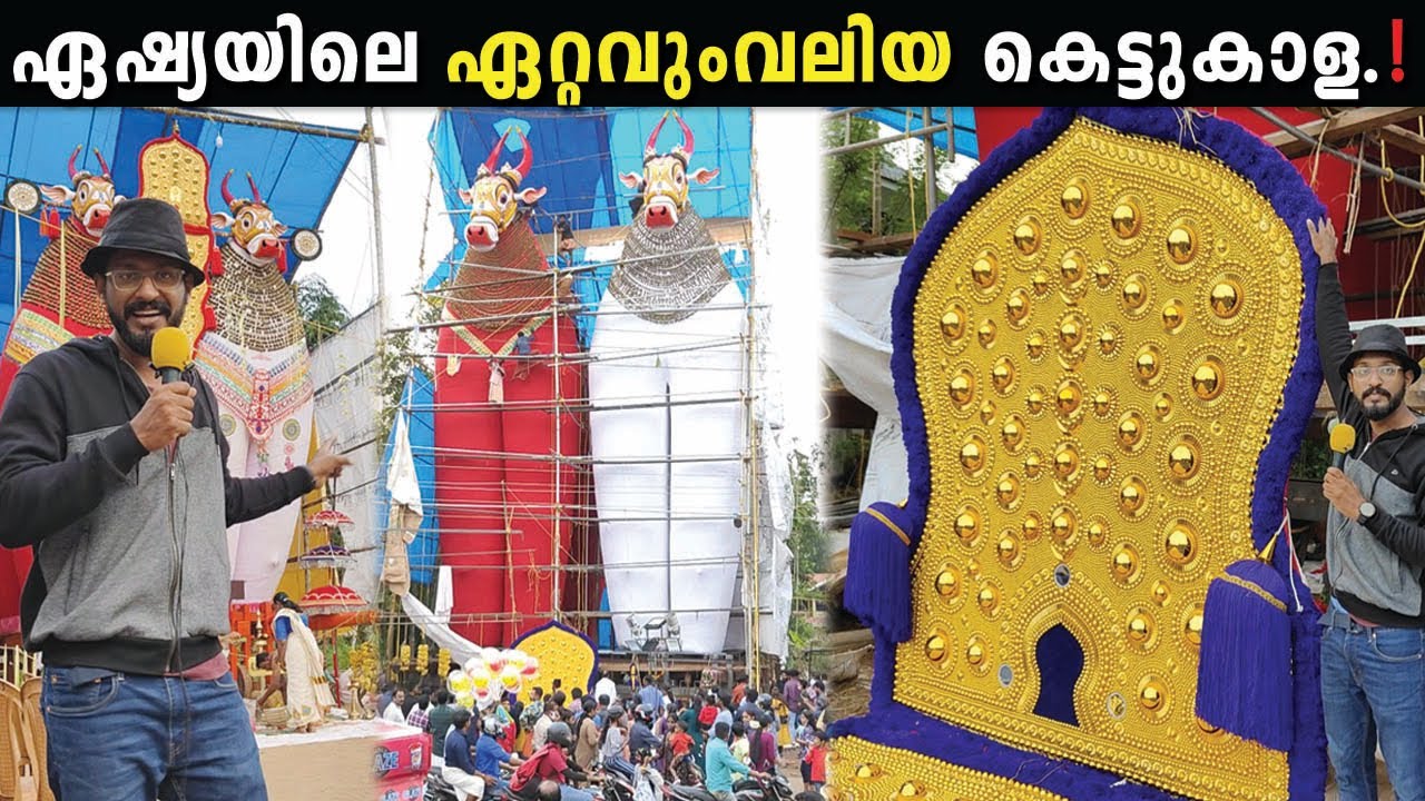 7 നില കെട്ടിടത്തിന്റ ഉയരമുള്ള കേട്ടുകാള ഏഷ്യയിലെ ഏറ്റവും വലുത് ❗️28 am Onam