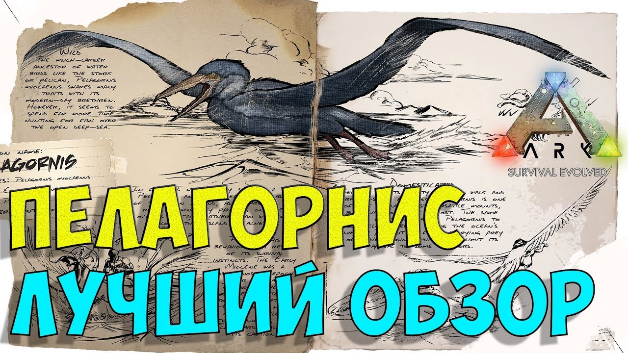 Пелагорнис (Pelagornis) в АРК. Лучший обзор: приручение, разведение и способности  в ark.