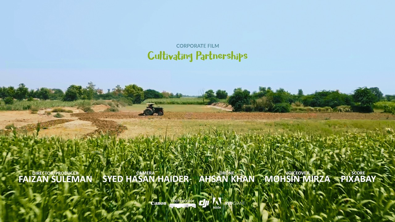 How ARMCOM processes sesame seeds in Pakistan for the world.