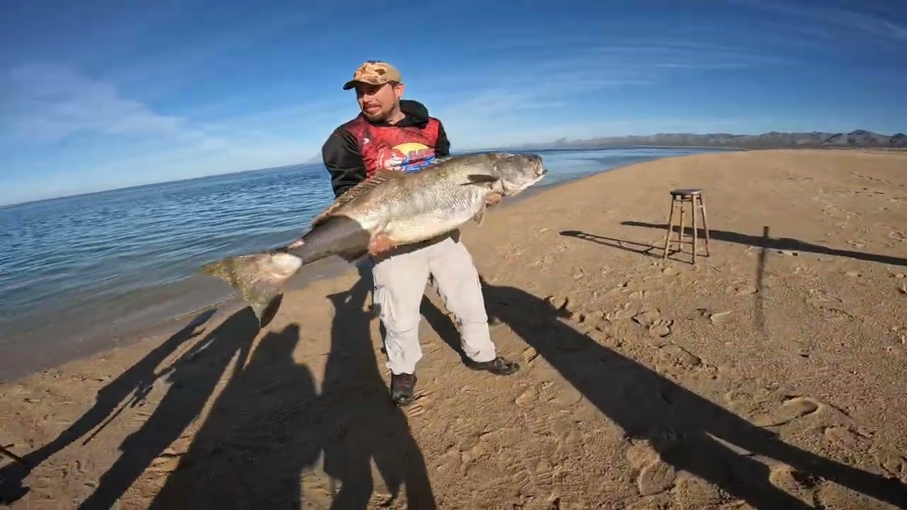 Pesca y liberación de cabicucho de 19.99 kilos última parte 