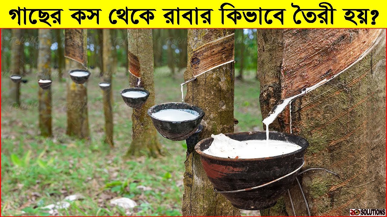 রাবার কিভাবে হয়? | Rubber Manufacturing process | Factory made