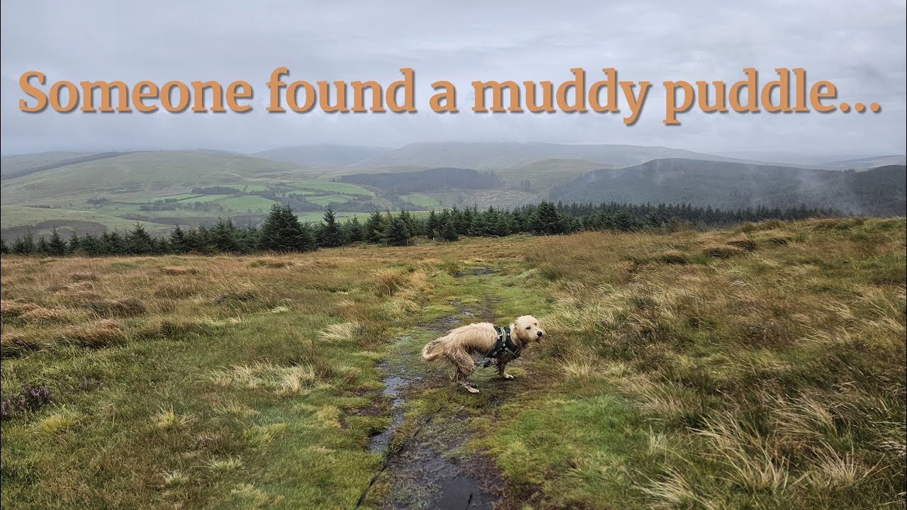 A muddy evening on Dent