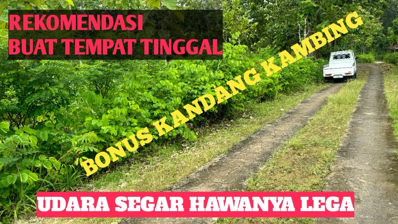 DI JUAL TANAH LUAS 981 METER ( BONUS KANDANG KAMBING )