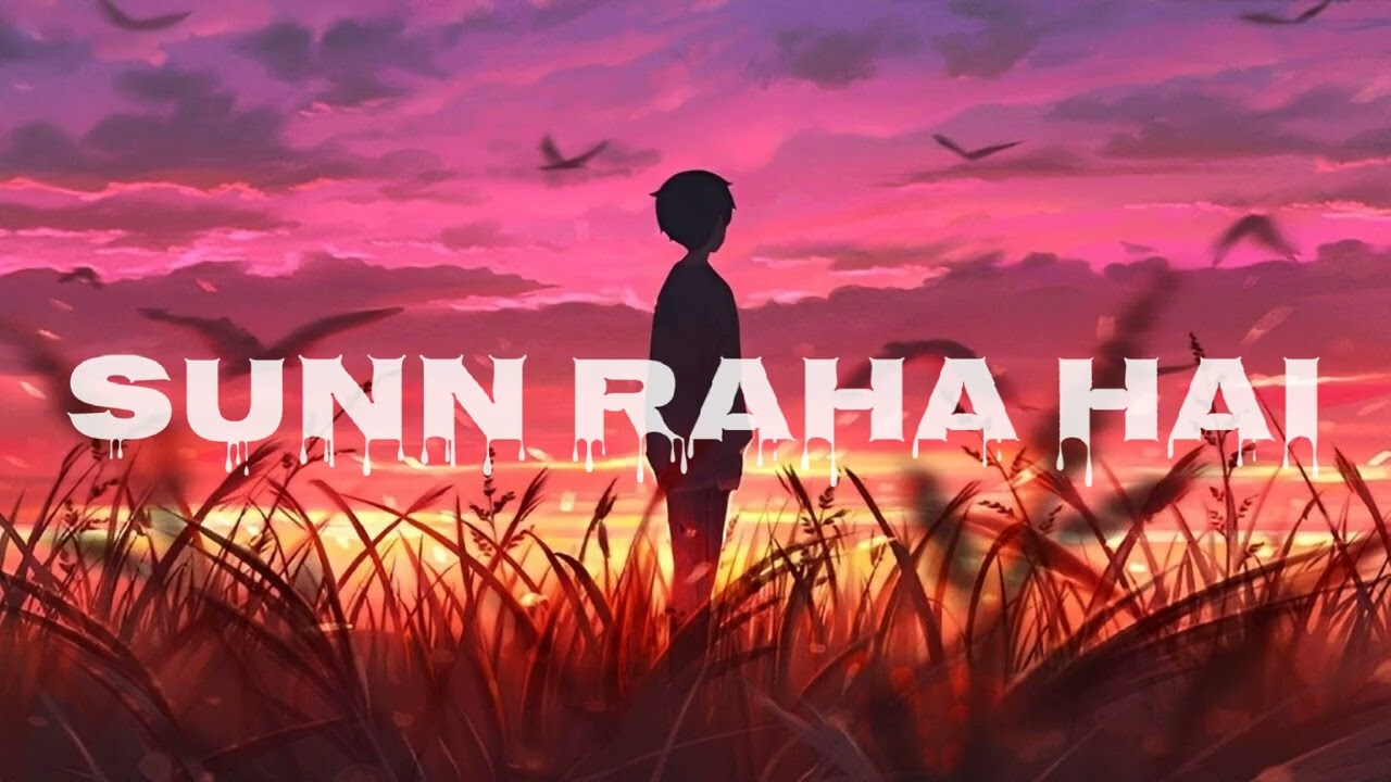 Sunn raha hai