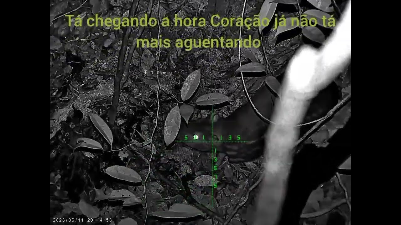 PACA AÇÚ NA CEVA DE  BANANA 🍌 DEU FOI BOM