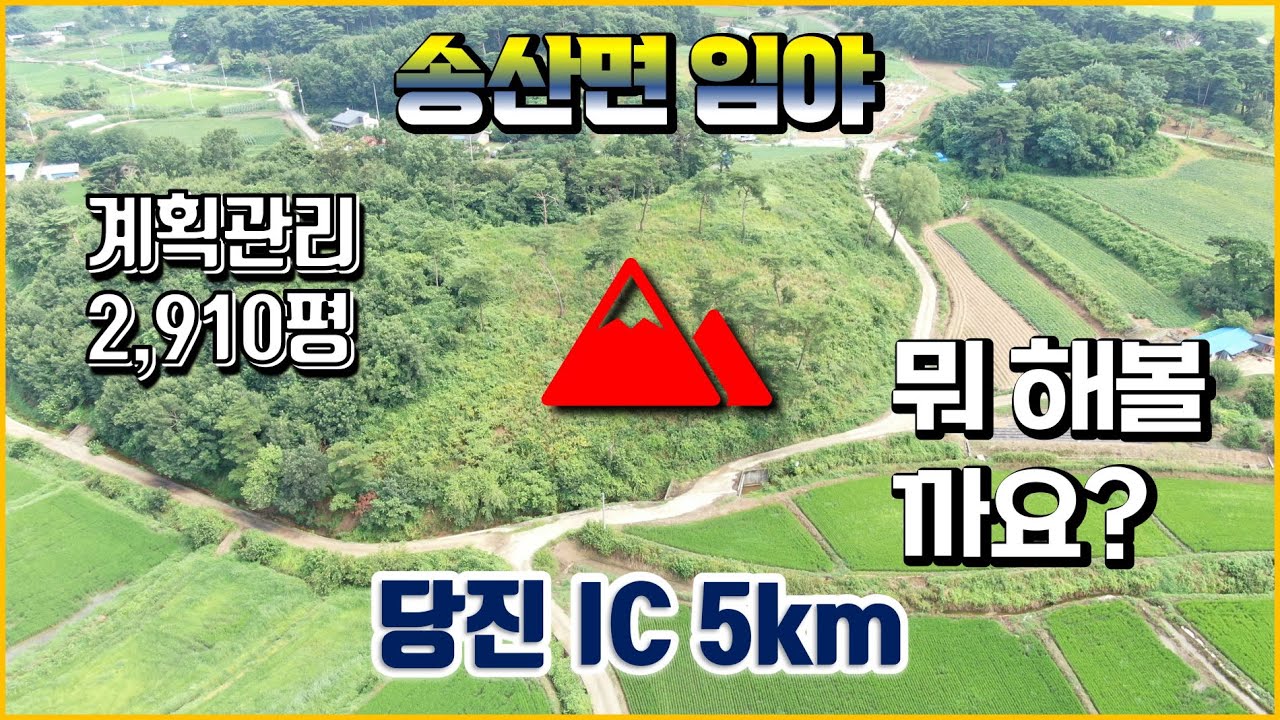 (토250804)당진토지매매, 송산면 남향 임야매매 2,910평. 송산면토지매매, 과수원? 주택지?