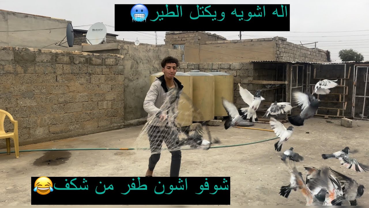 صيد اليوم ||شوفو برج جديد اش خليت بي طيور || جبت زواجل +شوفو اشون طفر طير من شكف |||شوفو منو رجع