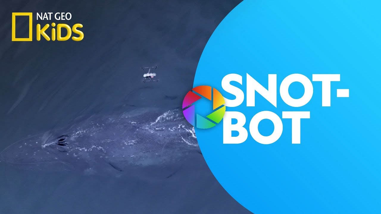 Snotbot | Ready, Set, Zoom!