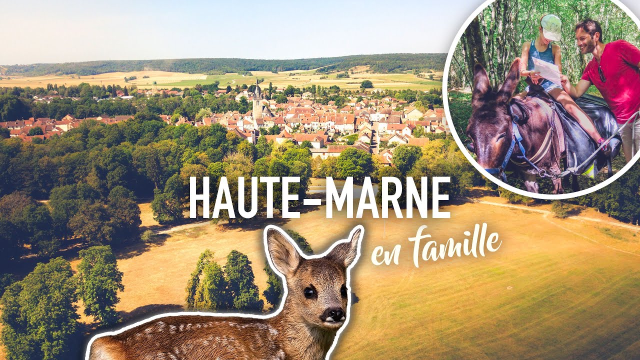 Visiter la Haute-Marne et le Parc national de forêts : en âne ou en rosalie ?