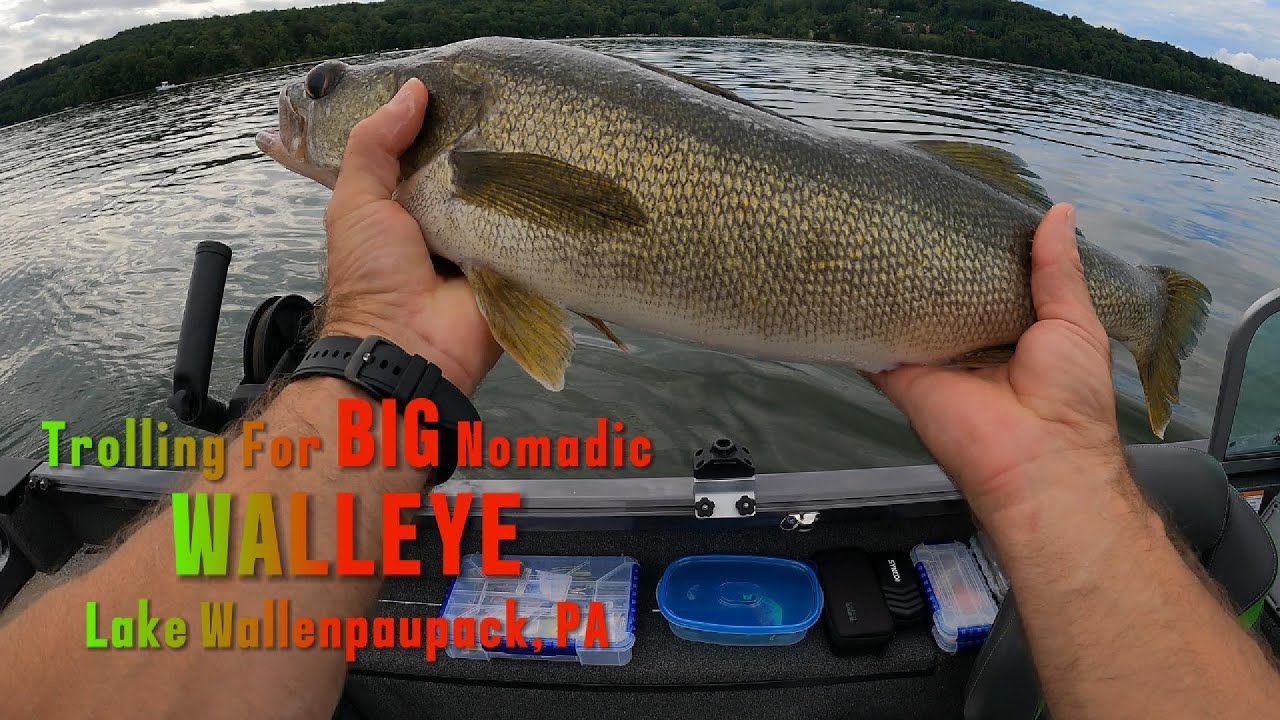 Trolling for BIG Nomadic Walleye, Lake Wallenpaupack, PA.