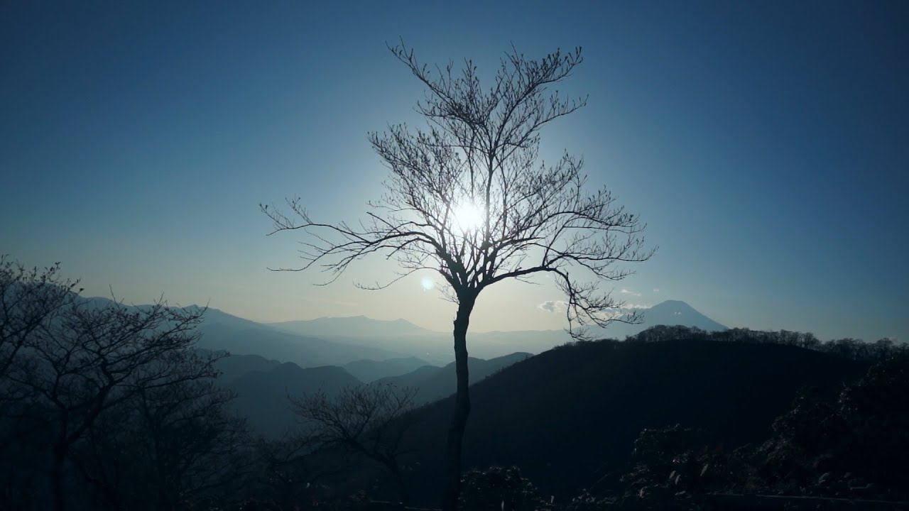 【ひとり登山部LOG】#16 丹沢三峰 丹沢山 塔ノ岳 のんびり丹沢縦走【60fps対応】