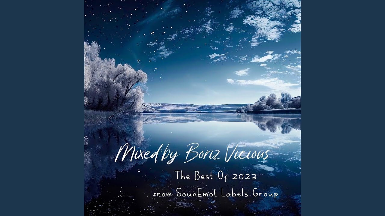 The Best of 2023 from Sounemot Labels Group (Mixed by Boriz Vicious)