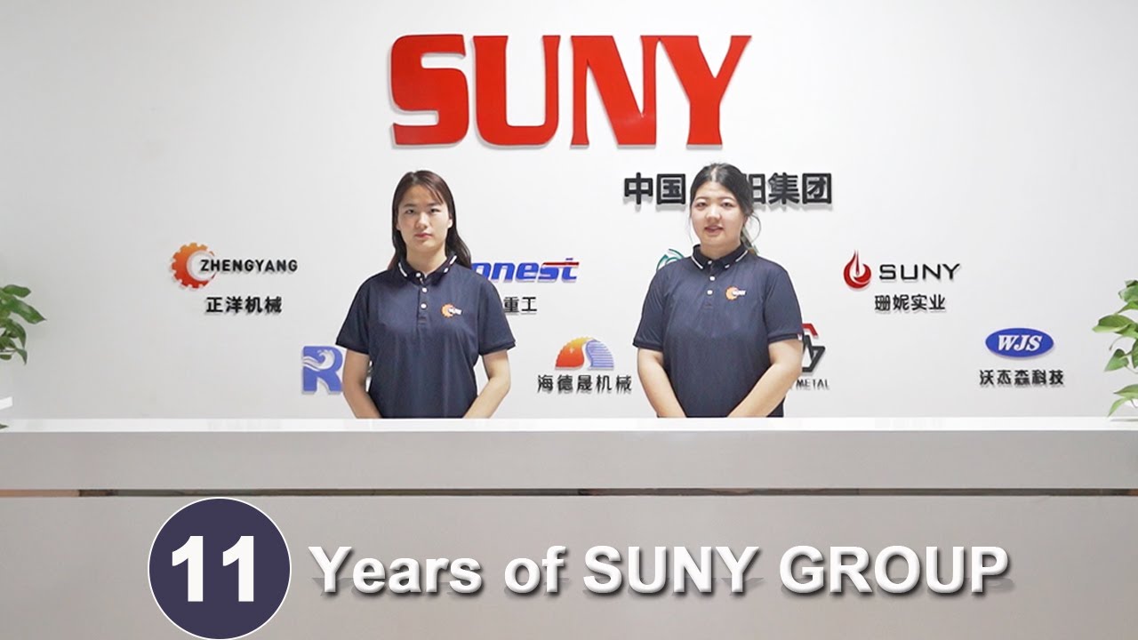 Young but Dynamic - 11 Years of Suny Group