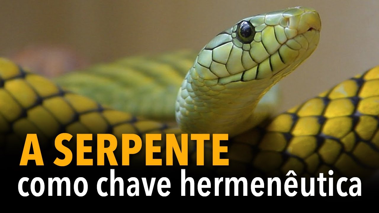 A serpente como chave hermenêutica