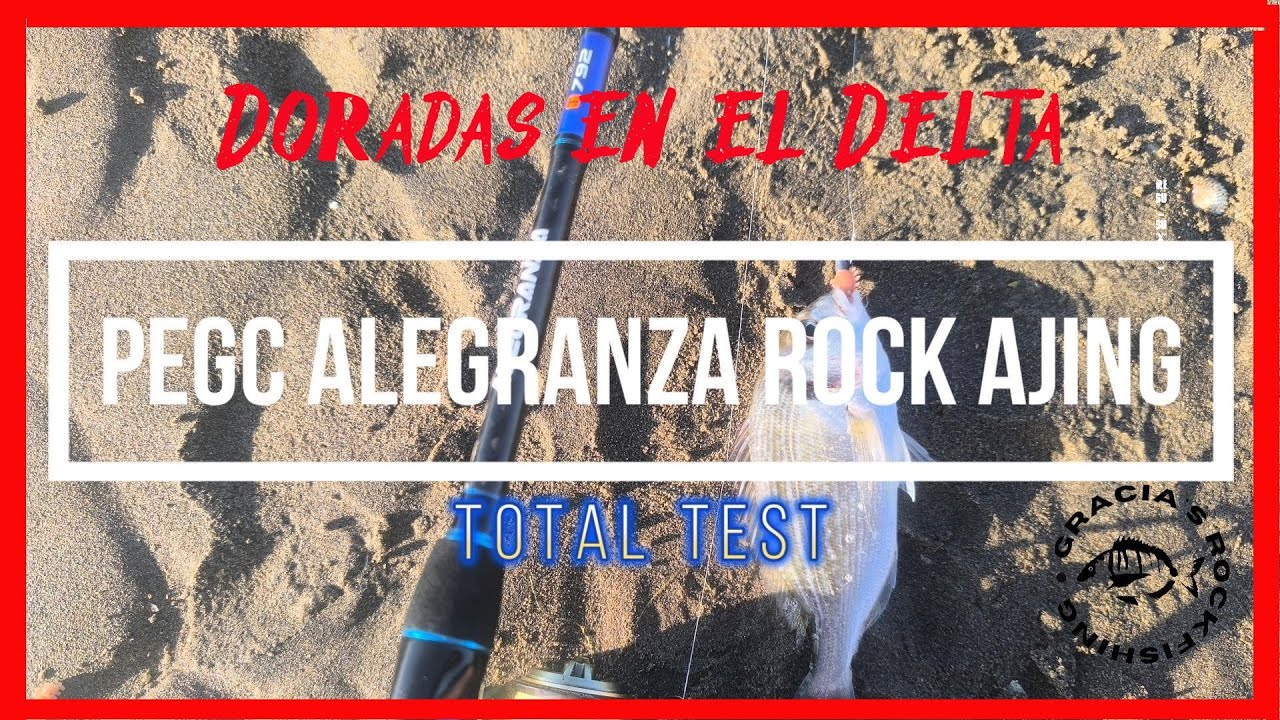 PESCANDO DORADAS EN EL DELTA DEL EBRO TEST PEGC ALEGRANZA ROCK